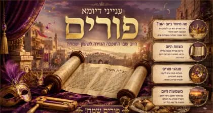 תצוגת פורים