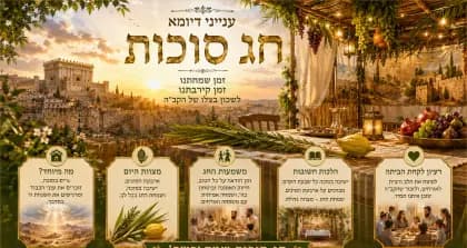 תצוגת סוכות